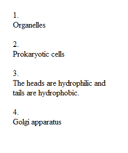 Module 3 Quiz